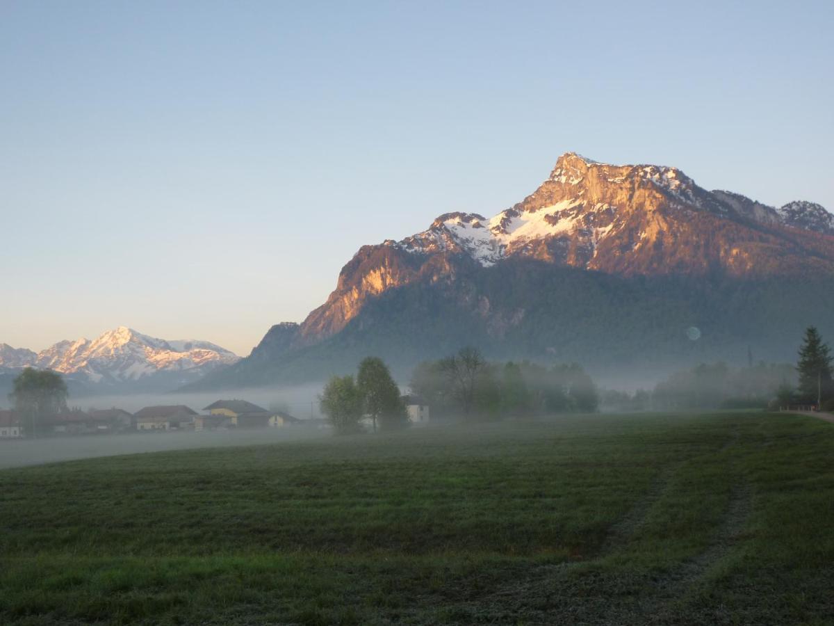 Top-2 Zimmer Ferienwohnung In Salzburg Mit Terrasse 外观 照片