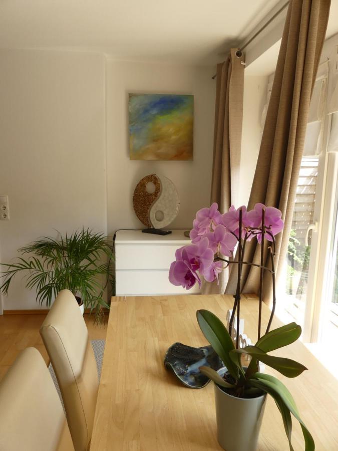 Top-2 Zimmer Ferienwohnung In Salzburg Mit Terrasse 外观 照片